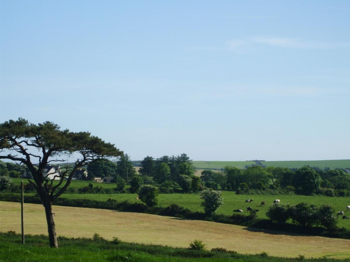 The Brown Hen Guest Accommodation Bandon Esterno foto